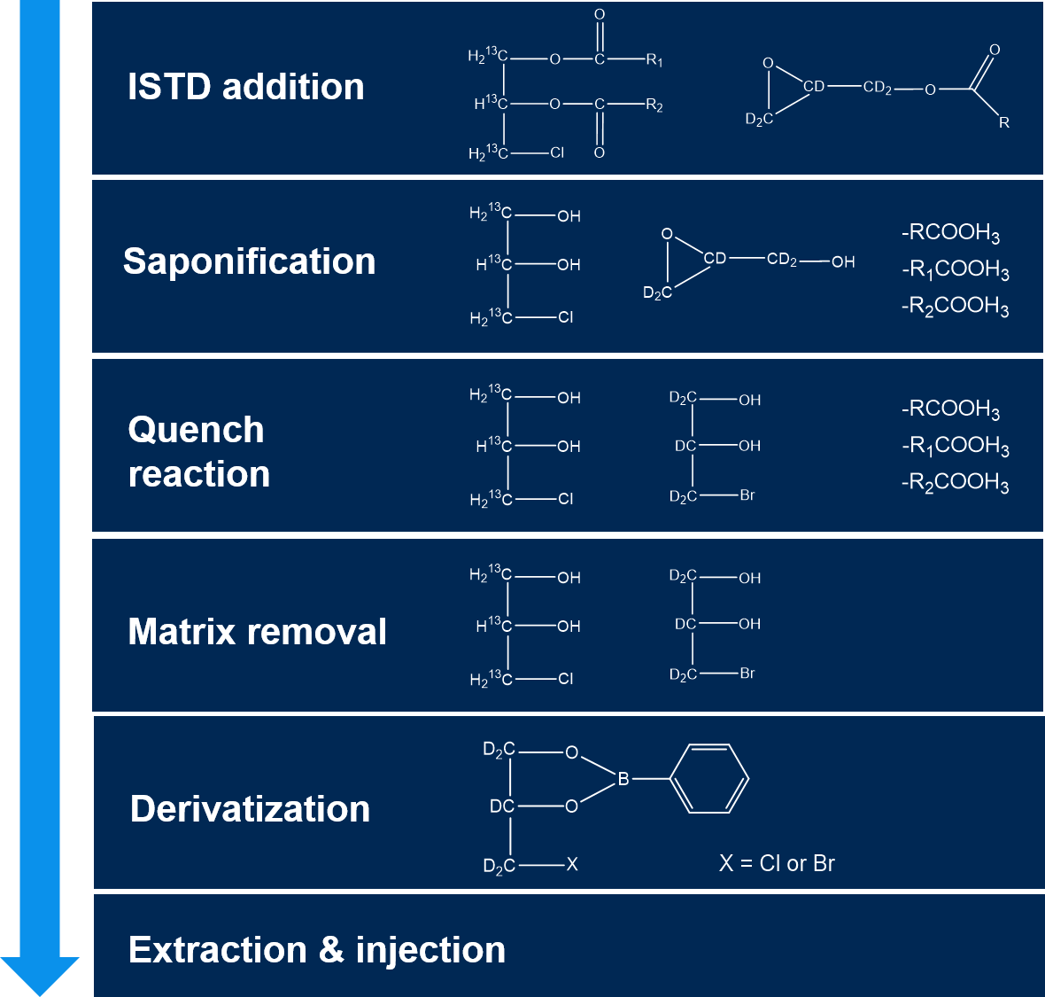 Schematic sequence of reactions during Sample prep using two internal standards