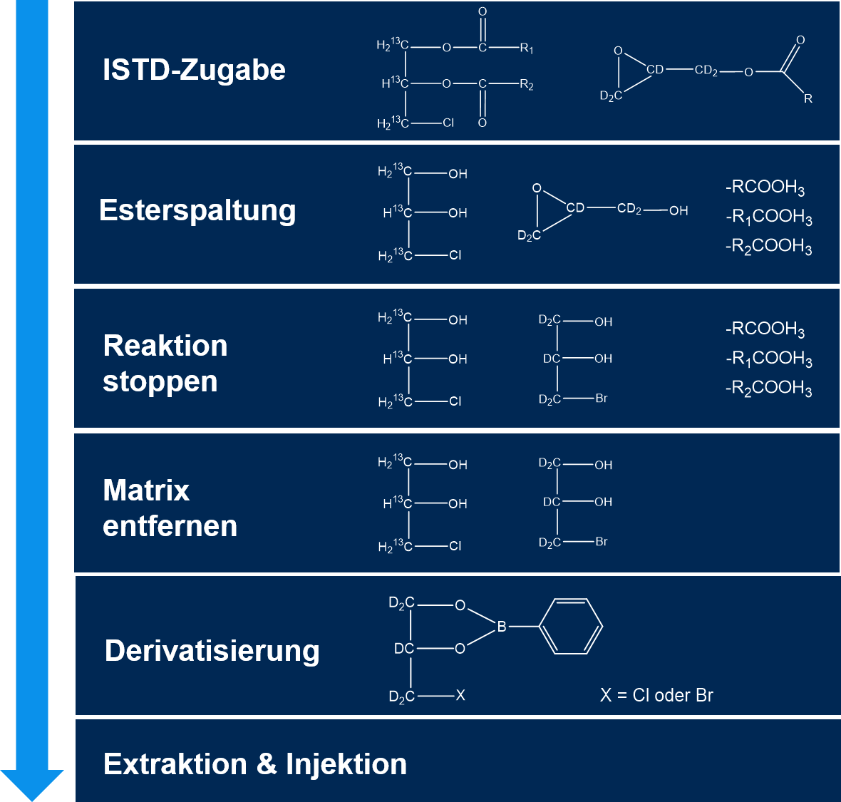 Schematischer Ablauf der Reaktion waehrend der Probenvorbereitung anhand der beiden internen Standards